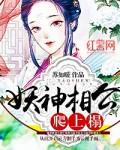妖孽相公宠不停