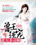 兽王狂宠逆天圣灵师