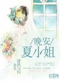 夏晚安