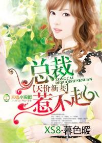 天价宠儿 总裁的新妻免费阅读