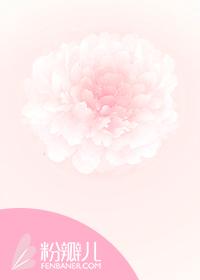 爱不言弃的意思