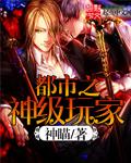 都市之神级高手免费阅读