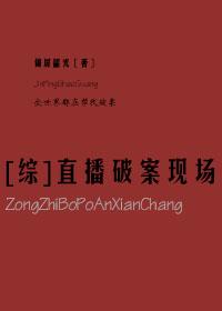 综直播破案现场txt