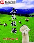 石头农家院图片