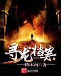 寻龙录