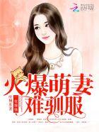 军少大人求轻宠