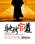 驰骋官道又名