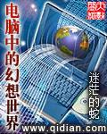 电脑中的幻想世界T