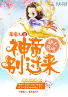 逆天神帝笔趣阁