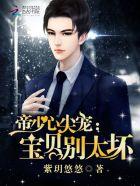 帝少心尖宠宝贝