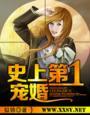 史上第一宠婚百度