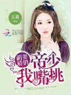 帝少的小萌妻免费阅读