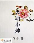 大明小婢书包网