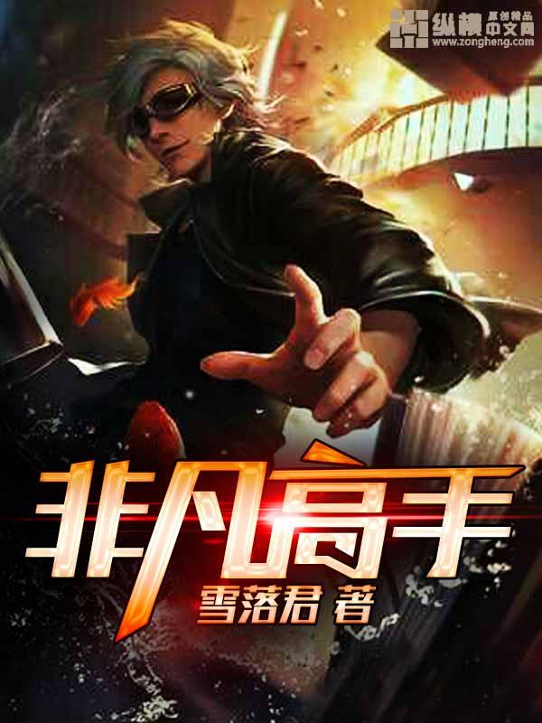 非凡高手txt
