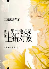 男主老是上错对象结局
