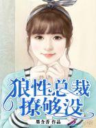 狼性总裁太撩人全本