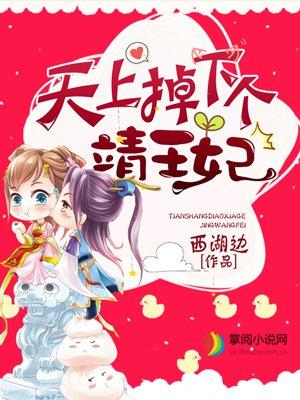 天上掉下个靖王妃短剧免费观看第22集
