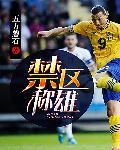 禁区称雄免费阅读