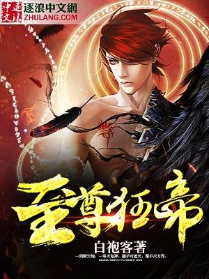 至尊狂帝TXT电子书