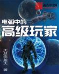 电弧中的高级玩家epub