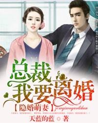 隐婚总裁