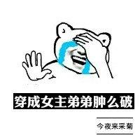 穿成女主弟弟肿么破无防盗