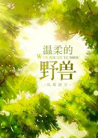 温柔的野兽txt
