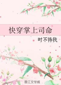 掌上上司