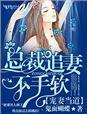 追妻总裁掌上宠全文免费阅读