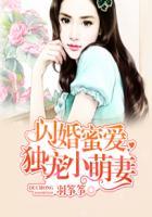 闪婚蜜爱独宠小萌妻凌霄