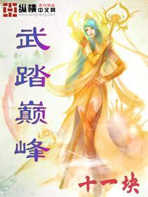 武lian巅峰