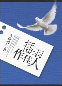 插羽作佳人免费阅读