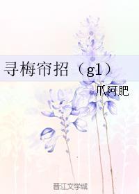 寻梅帘招TXT百度全文阅读