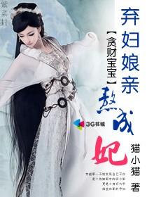 贪财宝宝弃妇娘亲熬成妃讲的什么