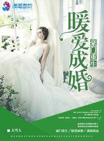 豪门重生暖暖成婚