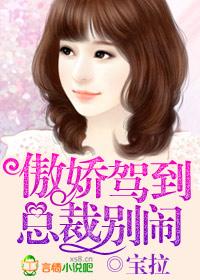 傲娇总裁超大牌