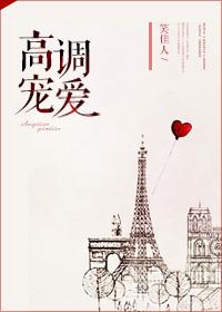 高调宠爱讲的什么
