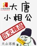 大唐小相公第二部