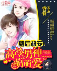 高冷总裁婚后独宠小婚妻