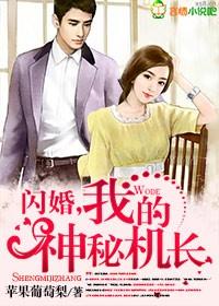 闪婚后机长好会哄