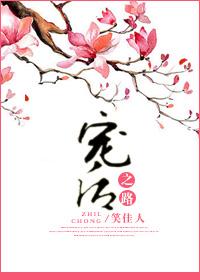 宠后之路傅宛最后和谁在一起了啊