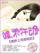 傲娇上司的笨下属海河