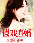 假戏真婚全文txt