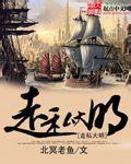 走私大明 写得如何