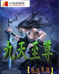 九天至尊袋十二cP