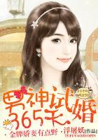 男神试婚365天金牌娇妻有点野简介