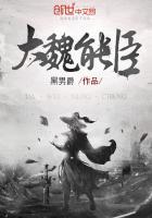 大魏能臣几个女主角