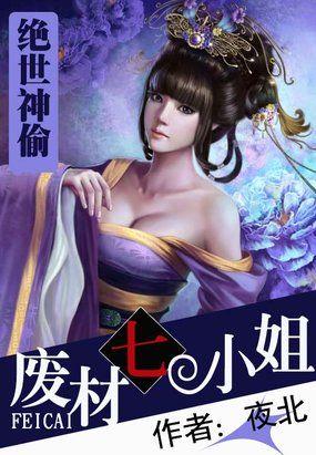绝世神偷电影免费完整版