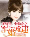 盛世军婚全本TXT