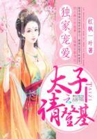 独宠太子妃七猫